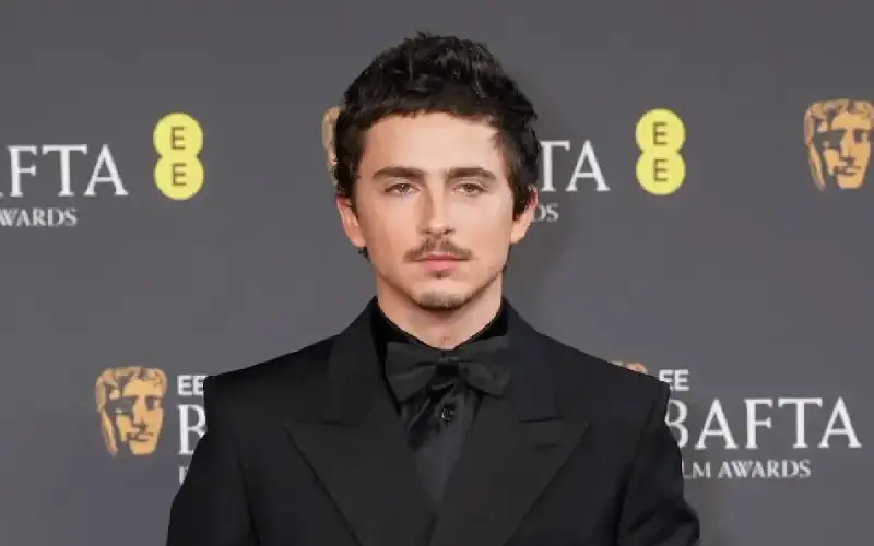 Timothée Chalamet producirá y posiblemente protagonizará Playground