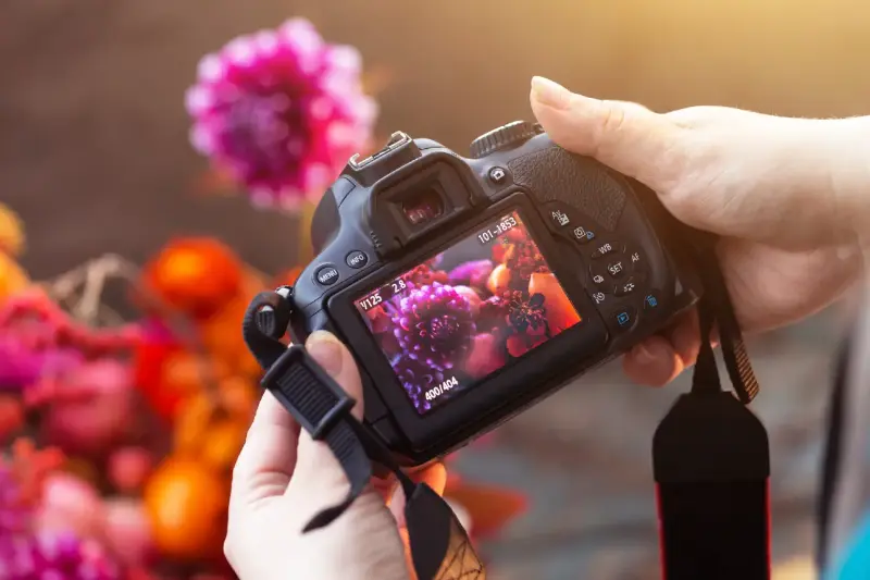 Ces festivals de photographie animalière rassemblent chaque année plus de passionnés