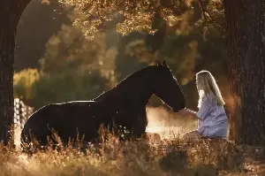 Ce comportement du cheval révèle souvent une grande confiance