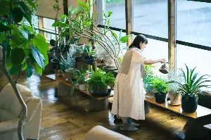 The Heartwarming Joy Libras Find In Nurturing Indoor Plants And Crafting Stunning Floral Arrangements
