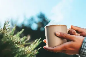 The Art Of Tea: Discover Soulful Silence And Deeper Connections
