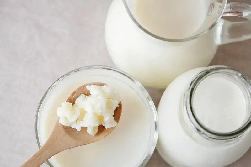 Boissons fermentées maison: kombucha, kéfir et conseils pratiques pour bien démarrer