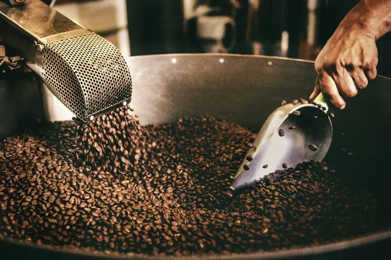 Top 5 Cafés Que Marcam Tendências no Mundo: Descubra as Regiões e Processos que Criam Experiências Cafetaleiras Únicas