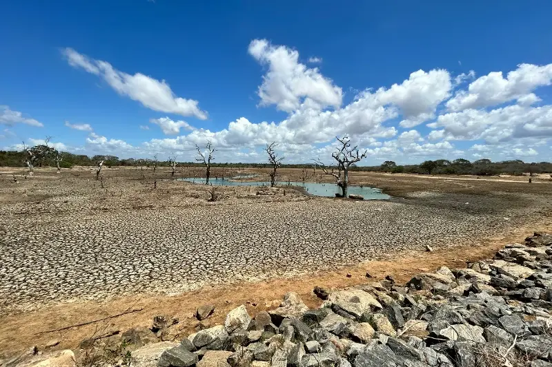 A Força Invisível das Secas: Impactos Econômicos e Sociais que Ameaçam a Sustentabilidade Global