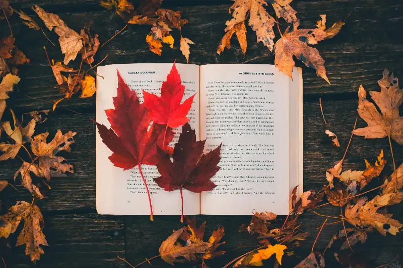The Heartwarming Craft of Pressing Dried Leaves and Flowers for Unique Timeless Keepsakes