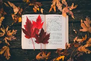 The Heartwarming Craft of Pressing Dried Leaves and Flowers for Unique Timeless Keepsakes
