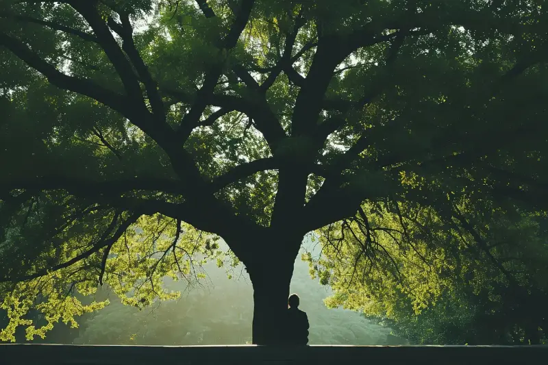 植物記憶與葉脈水路