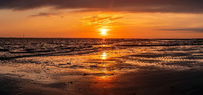 沿海潮間帶的生命時鐘