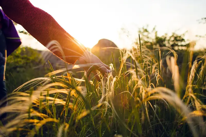 Una oda al bienestar: conecta cuerpo, mente y naturaleza