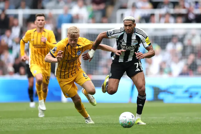 Newcastle’s Dramatic 95th Minute Goal Shatters Brighton’s Last Hope In Premier League Clash