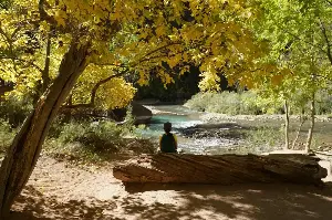 自然の中での瞑想が幸福度を向上