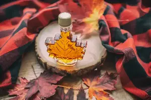 Canada’s Maple Syrup Magic: A Delicious Story From Forest Harvest To Breakfast Table