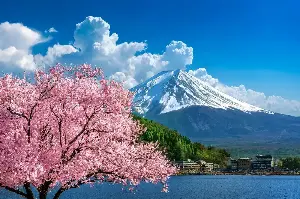 Uncover The Wonders Of Japan: Ultimate Bucket List Destinations For Every Type Of Traveler