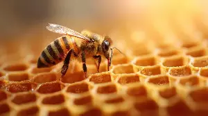 Nature’s Tiny Engineers: How Insect Architects Build The World’s Most Efficient Structures