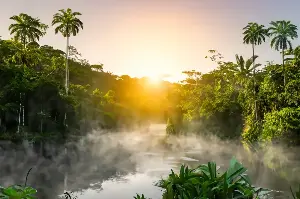 Congo Unveiled: Embark on the Ultimate Journey Through a Land of Untamed Beauty and Diversity