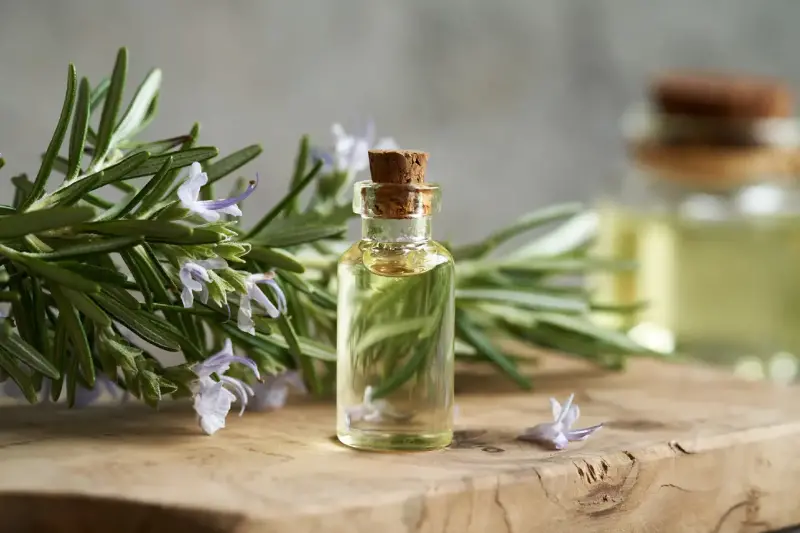 ¿El Aceite de Romero Realmente Ayuda al Crecimiento del Cabello? Descúbrelo Aquí