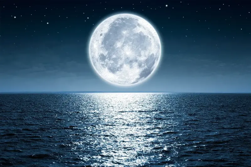 The Surprising Science Behind Moon-Driven Tides And Their Impact On Earth’s Oceans