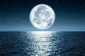 The Surprising Science Behind Moon-Driven Tides And Their Impact On Earth’s Oceans