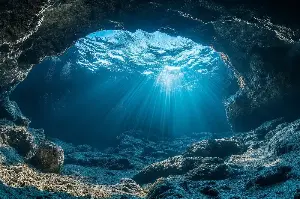 Mind-Blowing Deep Ocean Facts: Explore Strange Creatures Hiding in the Dark