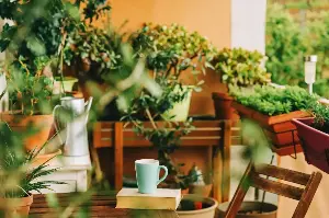Transform Your Tiny Balcony Into A Lush, Refreshing Garden With These Easy Tips