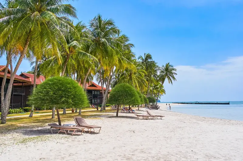 Pantai Tempatan Malaysia: Rahsia warna-warni kehidupan laut dan aktiviti keluarga tak terlupakan