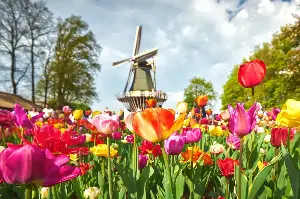 Discover The World’s Most Beautiful Festivals 💐 Where Love And Renewal Shine Brightly 🌞