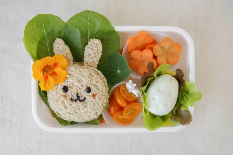 healthy lunch box ideas for kids in new zealand schools