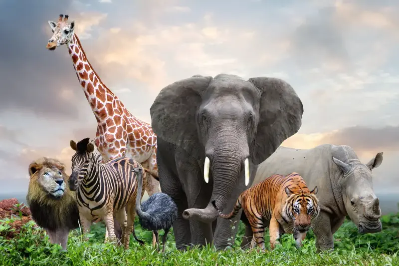Surprising Animal World Secrets That Will Make You See Life Differently
