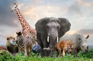 Surprising Animal World Secrets That Will Make You See Life Differently