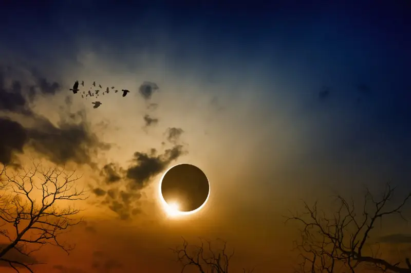 Eclipse solar: guía para verlo sin perder detalle ni dañar la vista