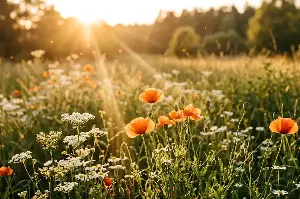 Unveiling The Magic Of Plants: Nature’s Most Astonishing Survival Strategies Revealed