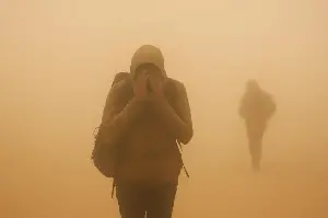 لماذا تهبّ الرياح العاتية فجأة؟ العلم يجيب