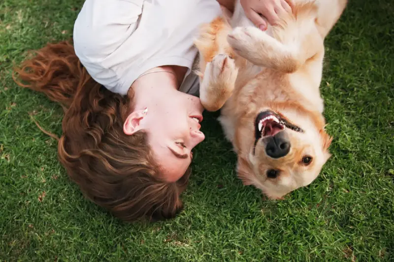 ¿Puede un perro sustituir la compañía de otra persona?