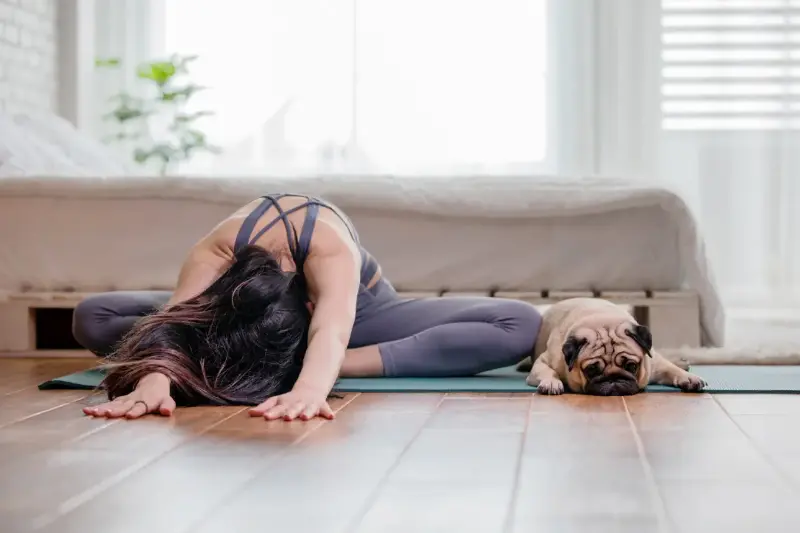 Yoga Innovador: Explora Prácticas Únicas con Animales y Eventos Diferentes