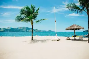 Brazil’s Best-Kept Secrets: Seven Dreamy Beaches That Will Steal Your Heart Instantly