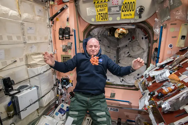 Astronauten-Essen: Was im All wirklich auf den Tisch kommt