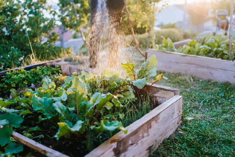 Fiambreras Japonesas: Tu Aliado Inesperado para Ajardinar Patios y Terrazas