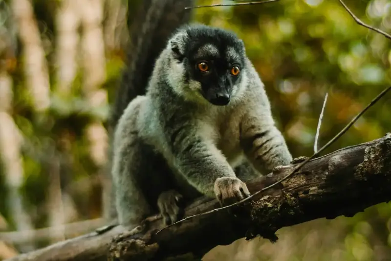 La bellezza fragile della biodiversità