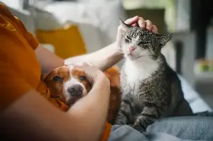 How Pets Can Help You Live Longer, According to Science