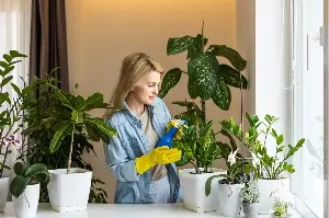 Blooming Longer At Home: Expert Flower Preservation Tips From Trimming To Water Choices