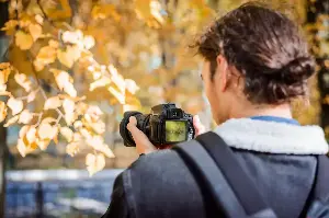 Fall Photography Tips: How To Capture Vivid Autumn Colors Like A Professional