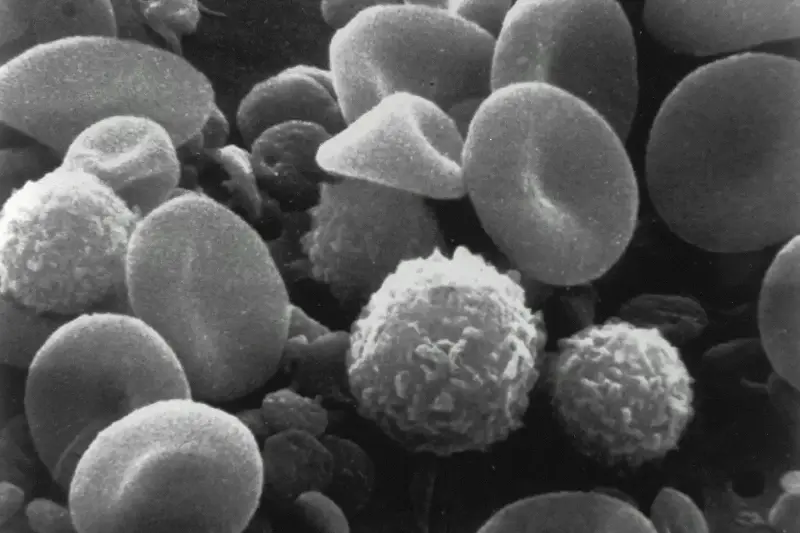 As vacinas personalizadas de mRNA