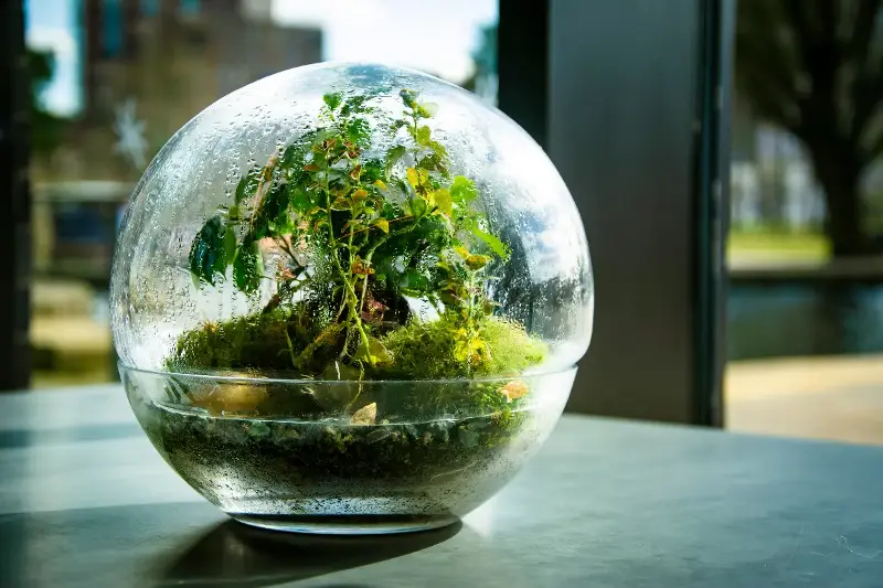 Hitzewellen im Terrarium: Wie bleibt das Klima im Sommer wirklich stabil?