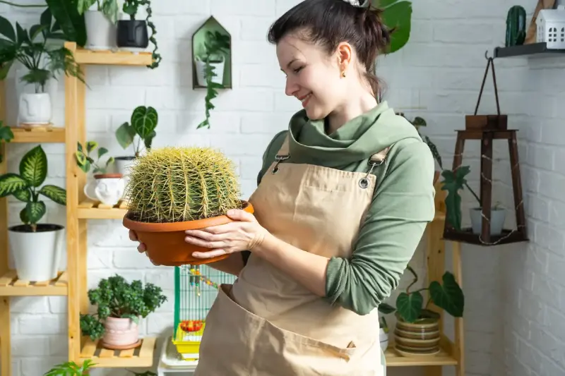 ¿Con qué Frecuencia Regar tus Cactus para Mantenerlos Saludables?