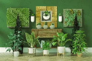 Nature’s Pharmacy: The Surprising Health Benefits of Common Indoor Plants