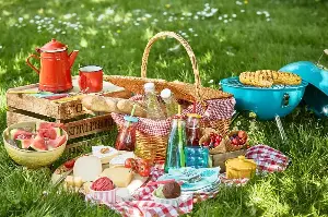 Master The Art Of The Perfect Summer Picnic With These Expert-Approved Tips And Tricks