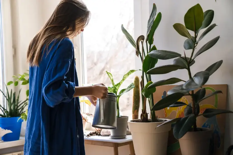 Riega Tus Plantas en Vacaciones: 5 Soluciones Fáciles para su Supervivencia