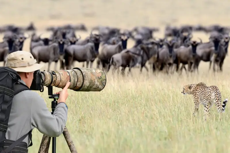 Cette passion pour la photographie animalière anime de plus en plus de réseaux