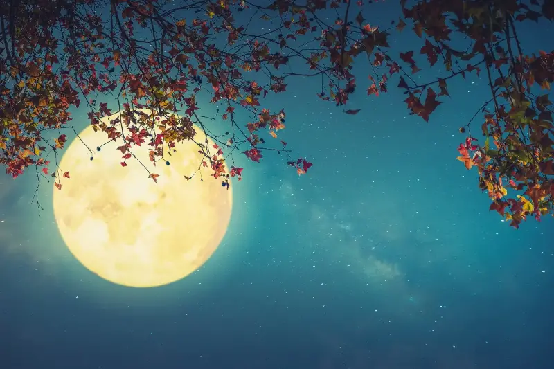 From New Moon To Full: Fascinating Facts About The Ever-Changing Lunar Cycle