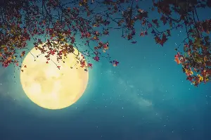 From New Moon To Full: Fascinating Facts About The Ever-Changing Lunar Cycle